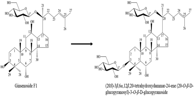 Fig. 6