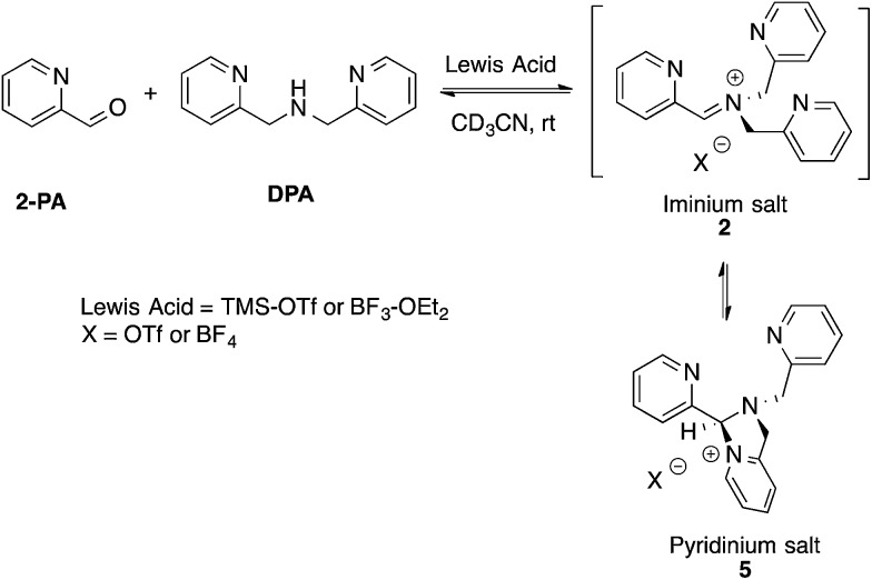 Scheme 3