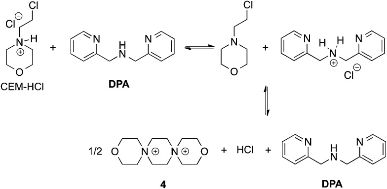 Scheme 2