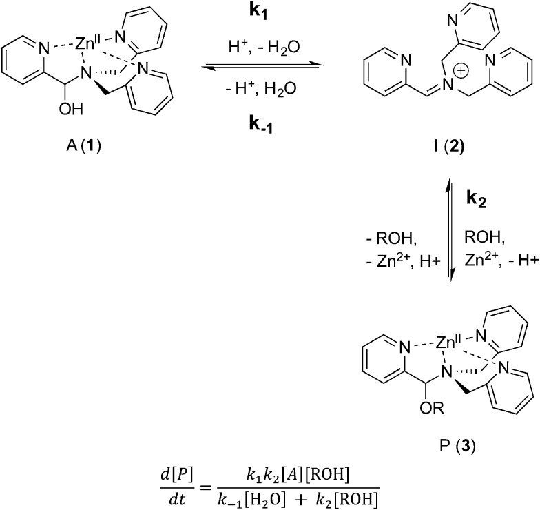 Scheme 5