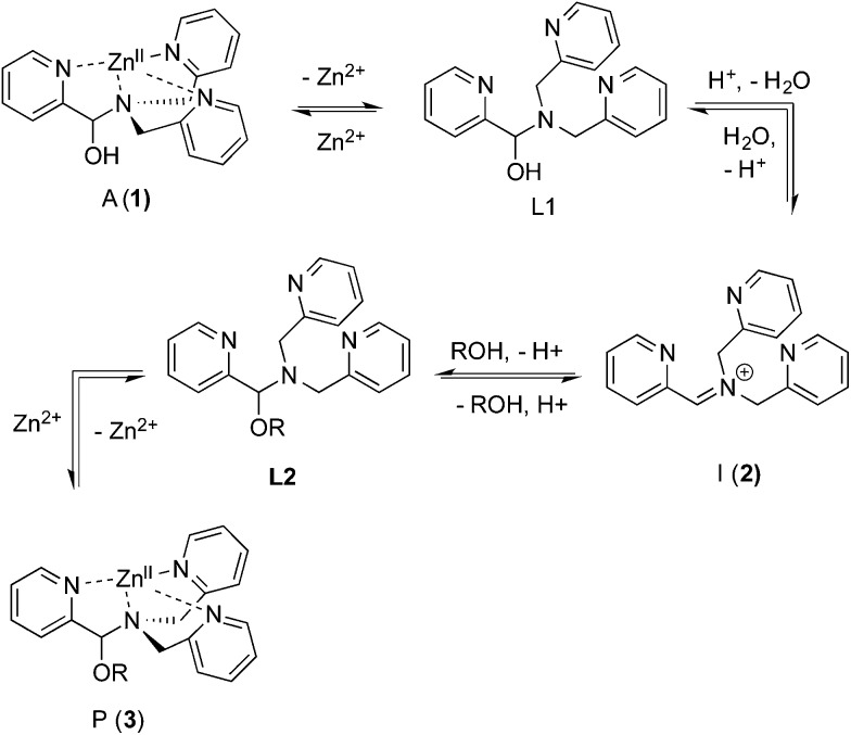 Scheme 4