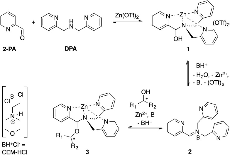 Scheme 1