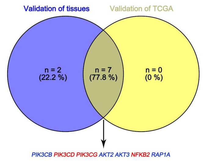 Figure 11