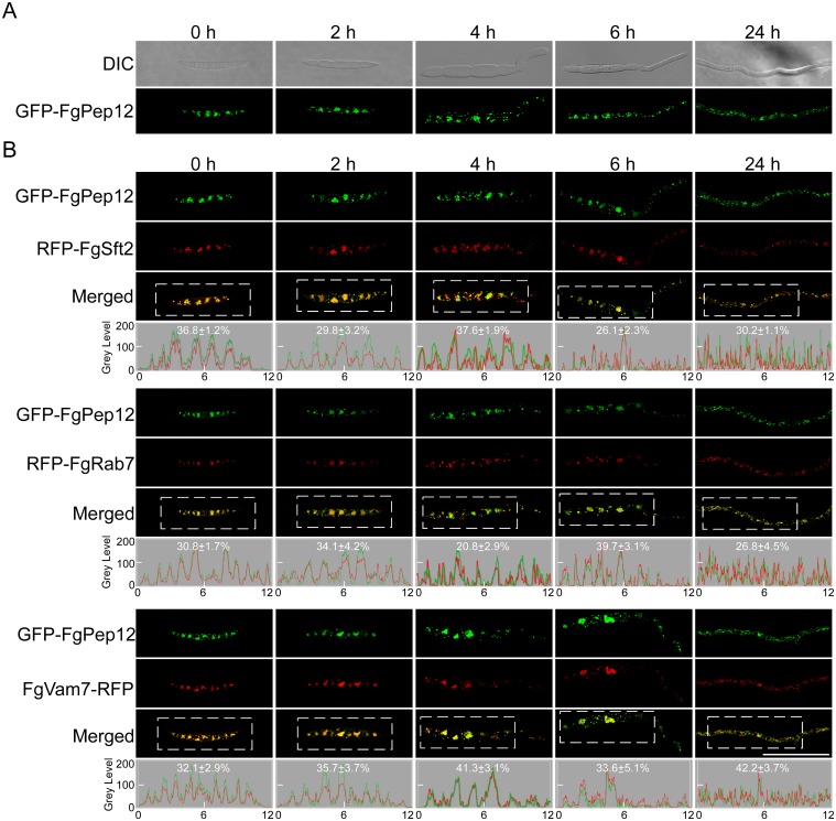 Fig 3