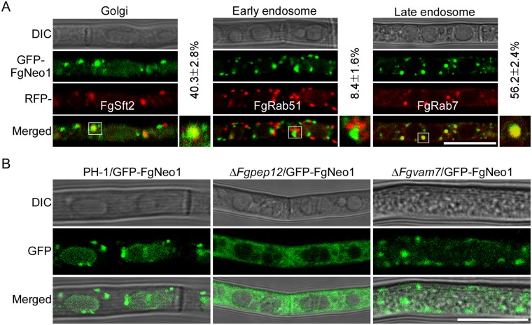 Fig 10