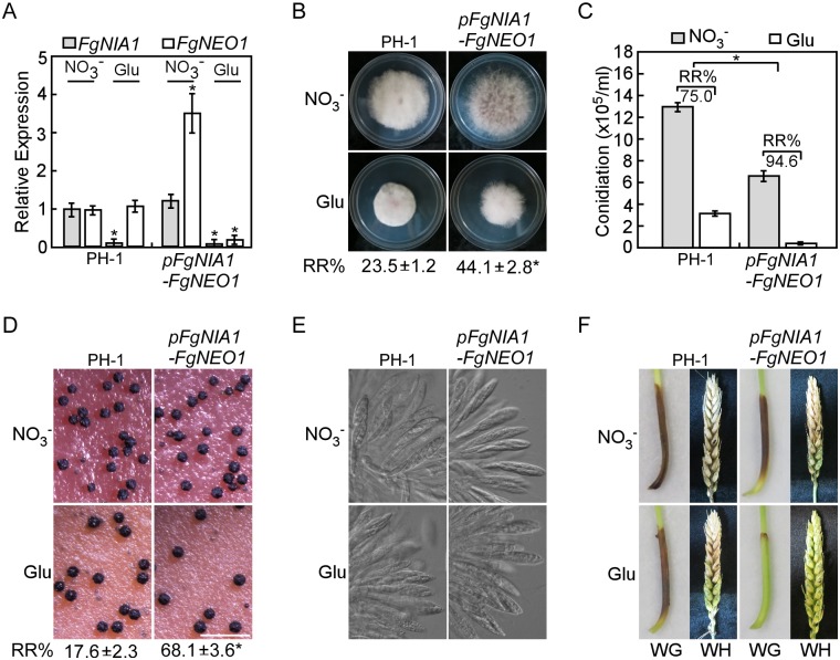 Fig 8