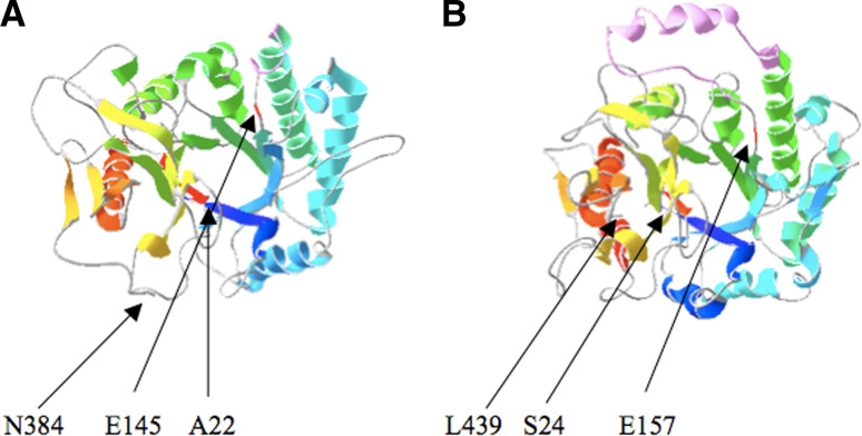 Fig. 4