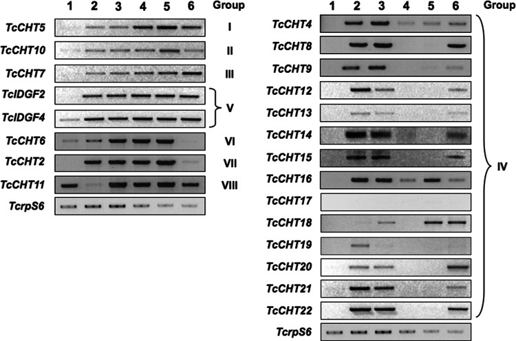 Fig. 7