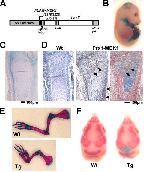 FIG. 9.