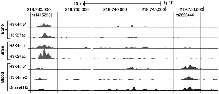 Figure 2.