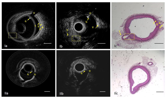 Fig. 6