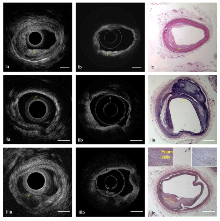 Fig. 7