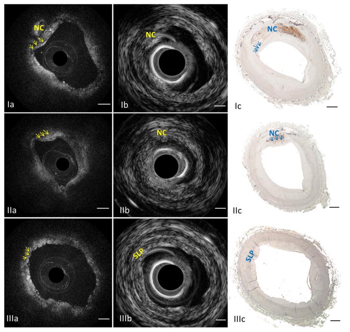 Fig. 8