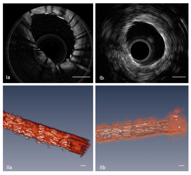 Fig. 9