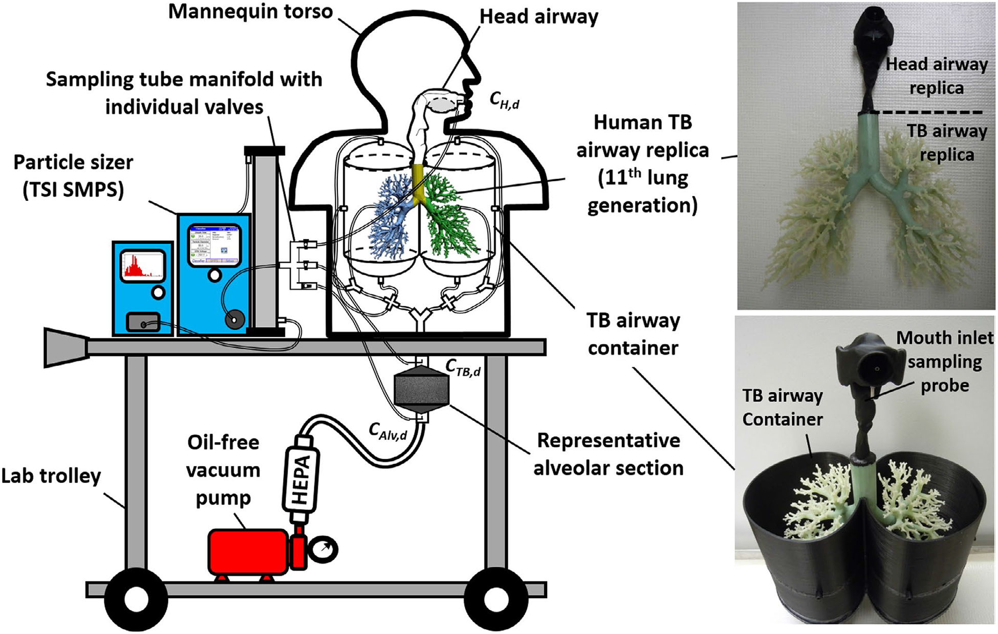 FIGURE 1