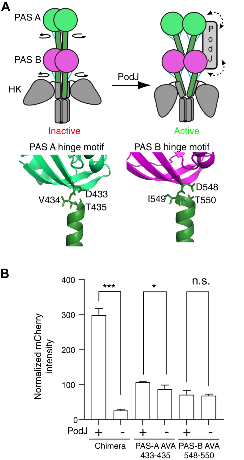 Figure 4