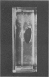 456-1