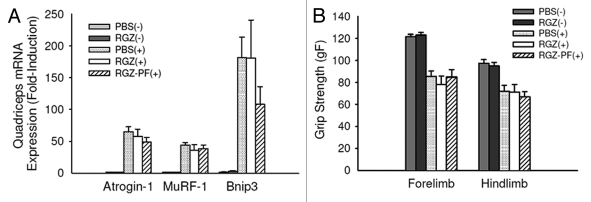 Figure 2.