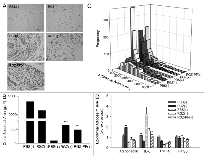 Figure 3.