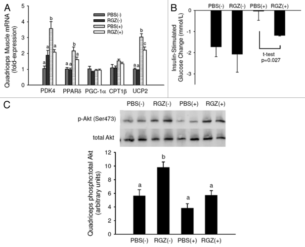 Figure 4.