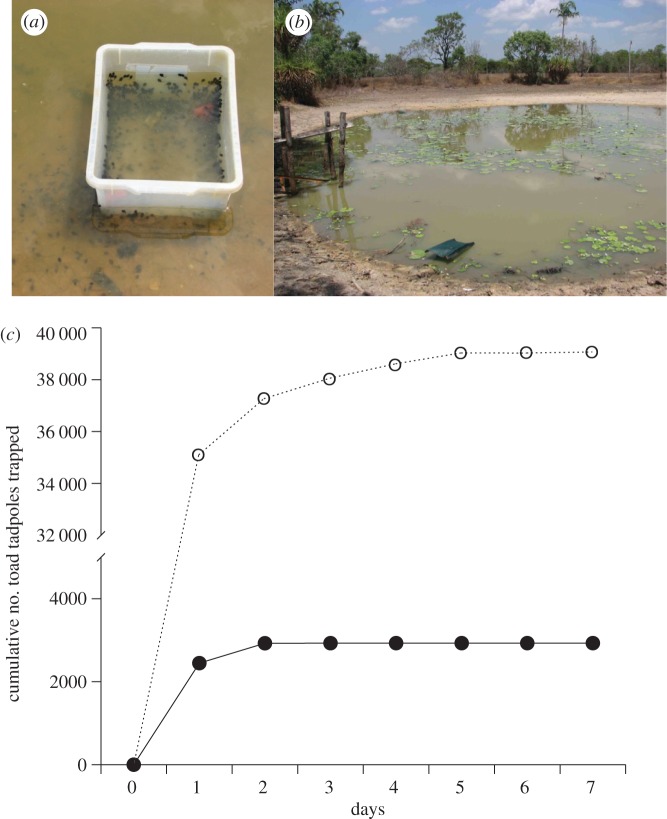 Figure 1.