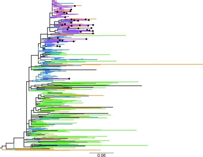 FIG. 1.