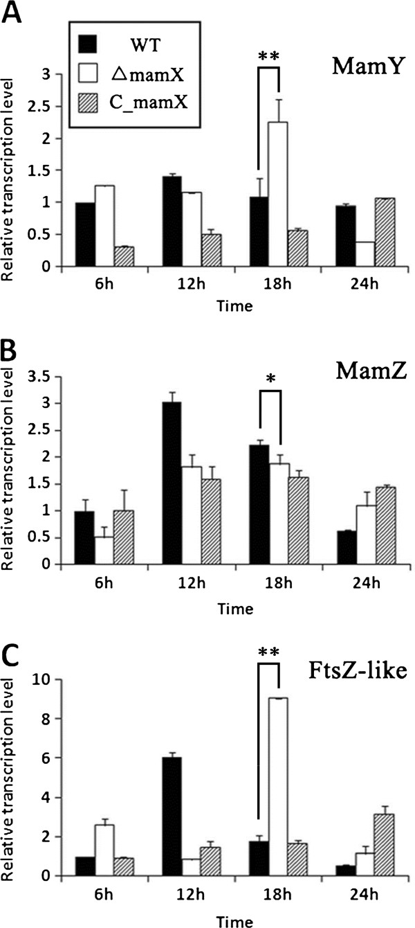 Figure 6