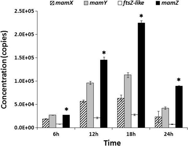 Figure 5