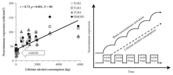 Figure 10.7