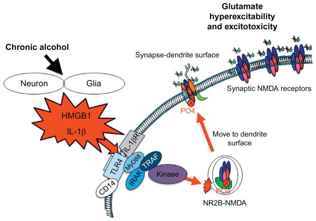 Figure 10.8