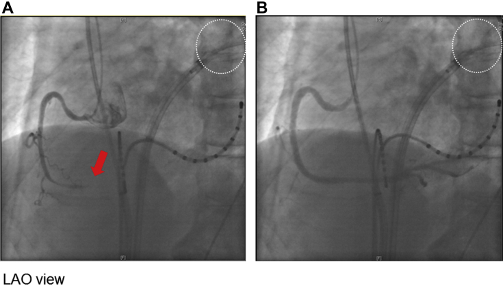 Figure 3