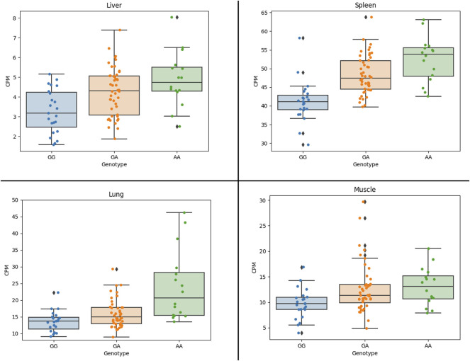 FIGURE 3