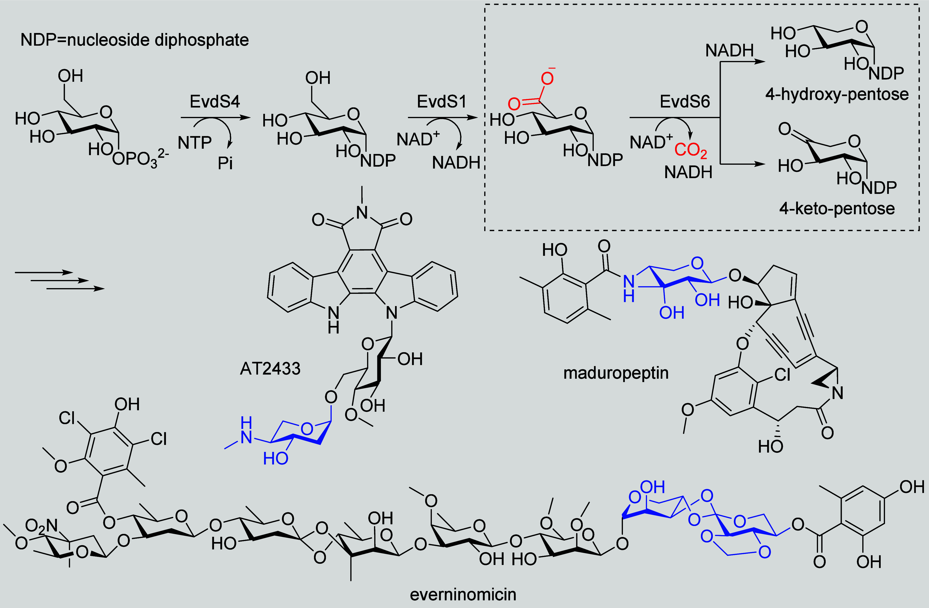 Figure 11
