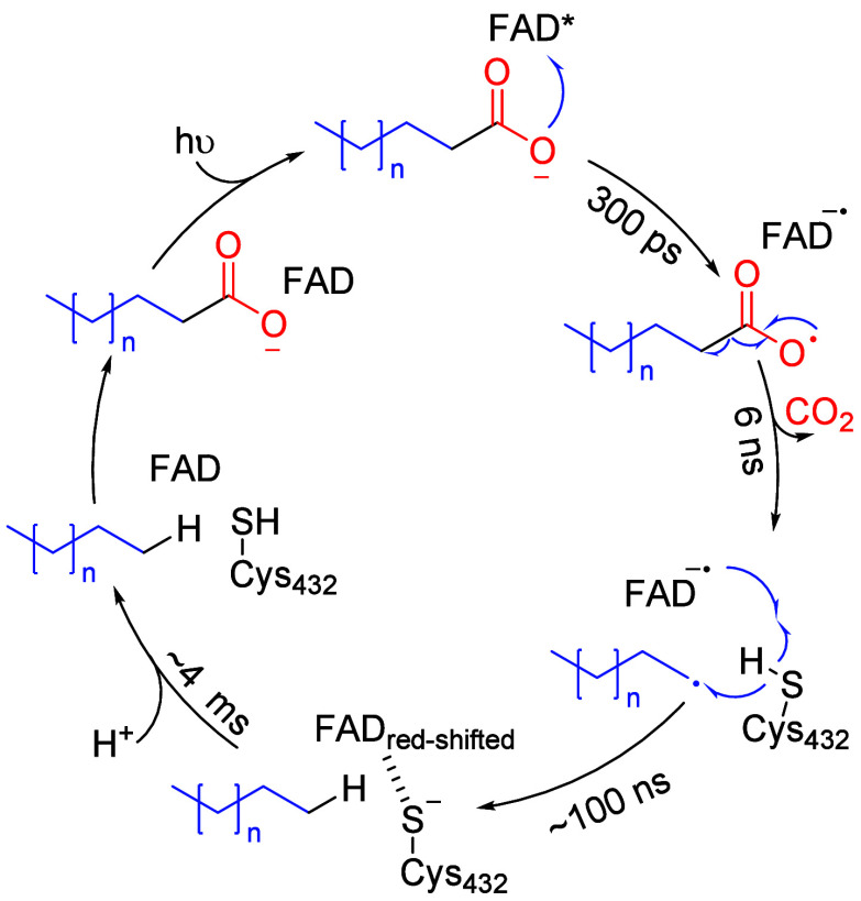 Figure 24