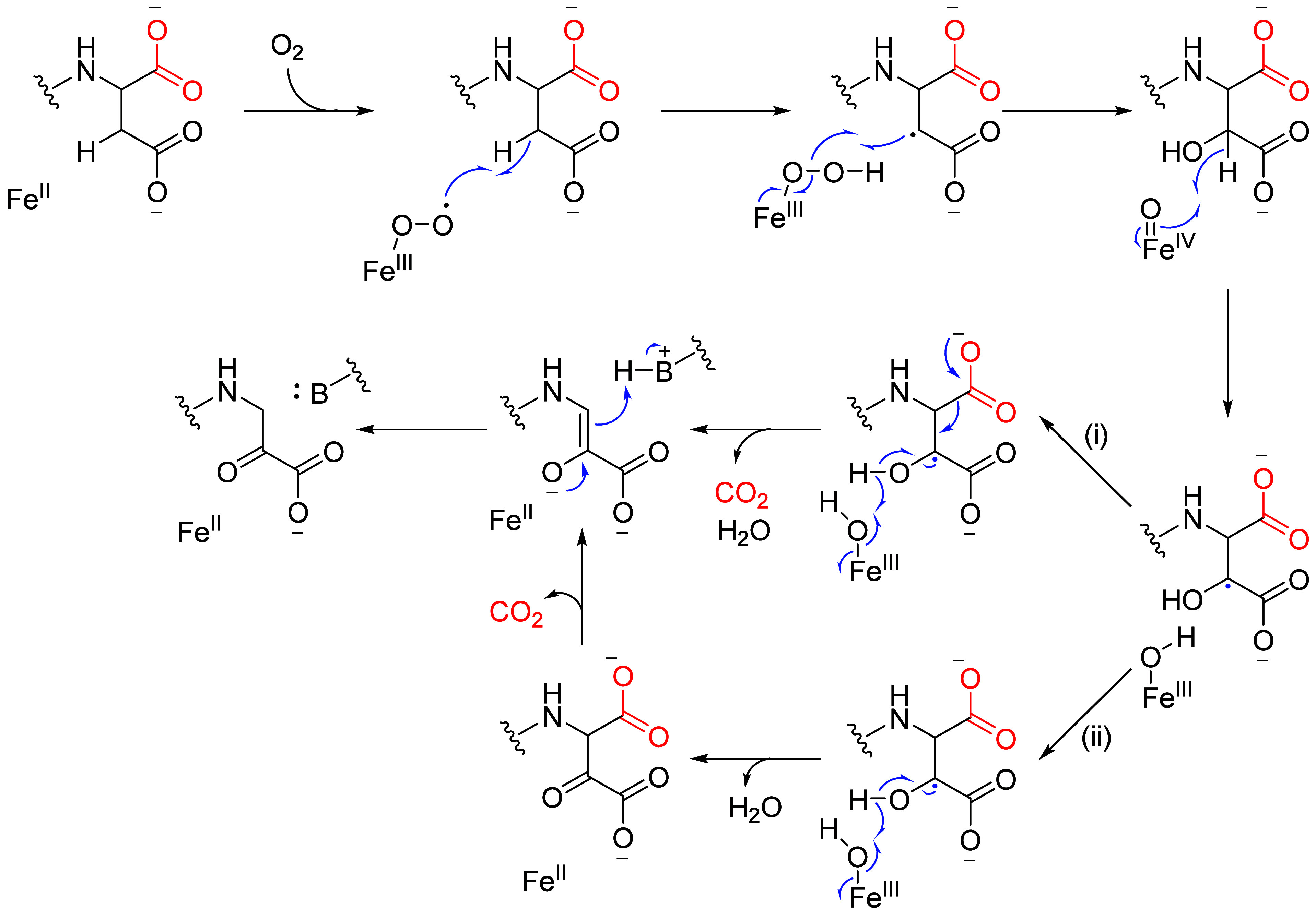 Figure 22