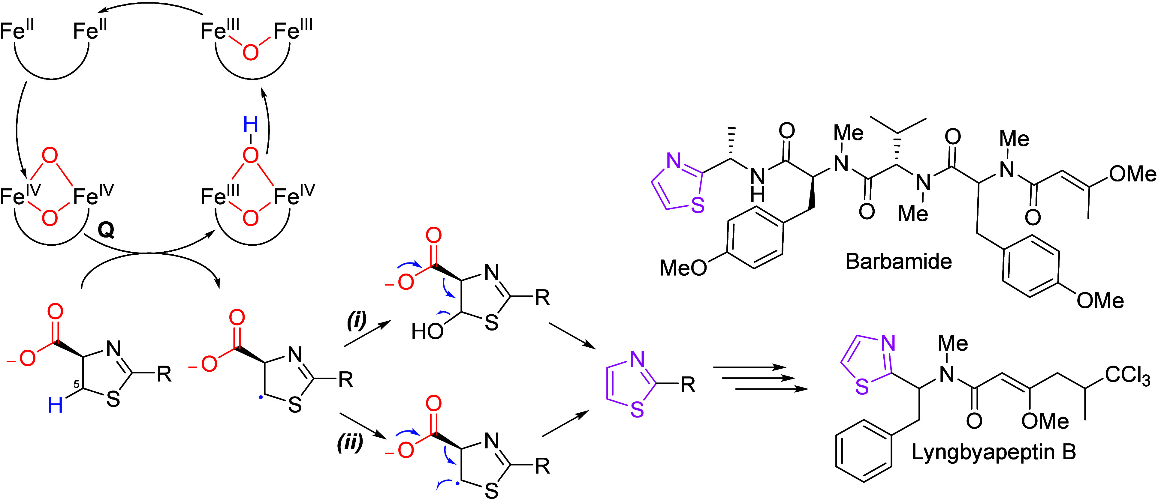 Figure 21
