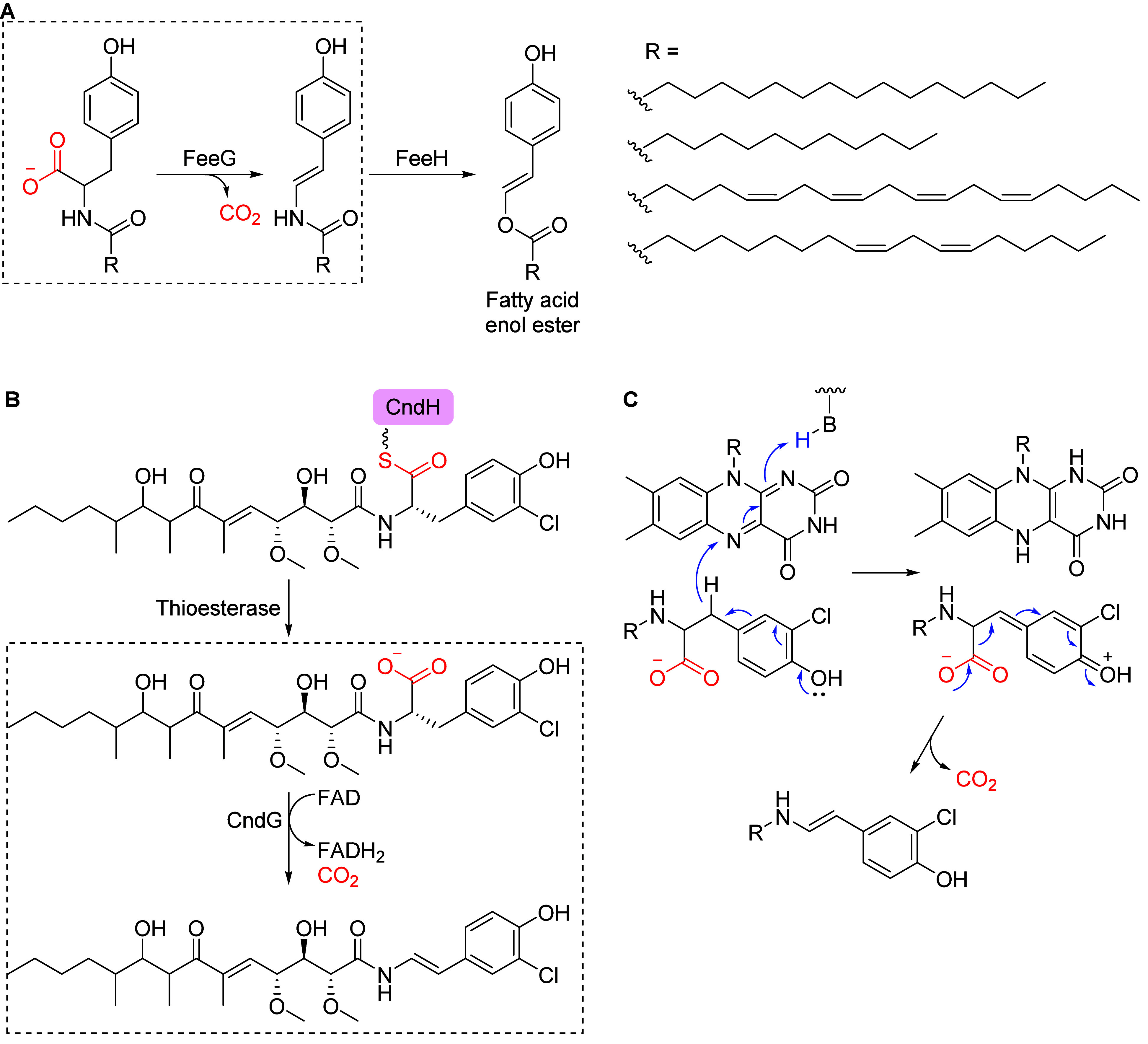 Figure 14