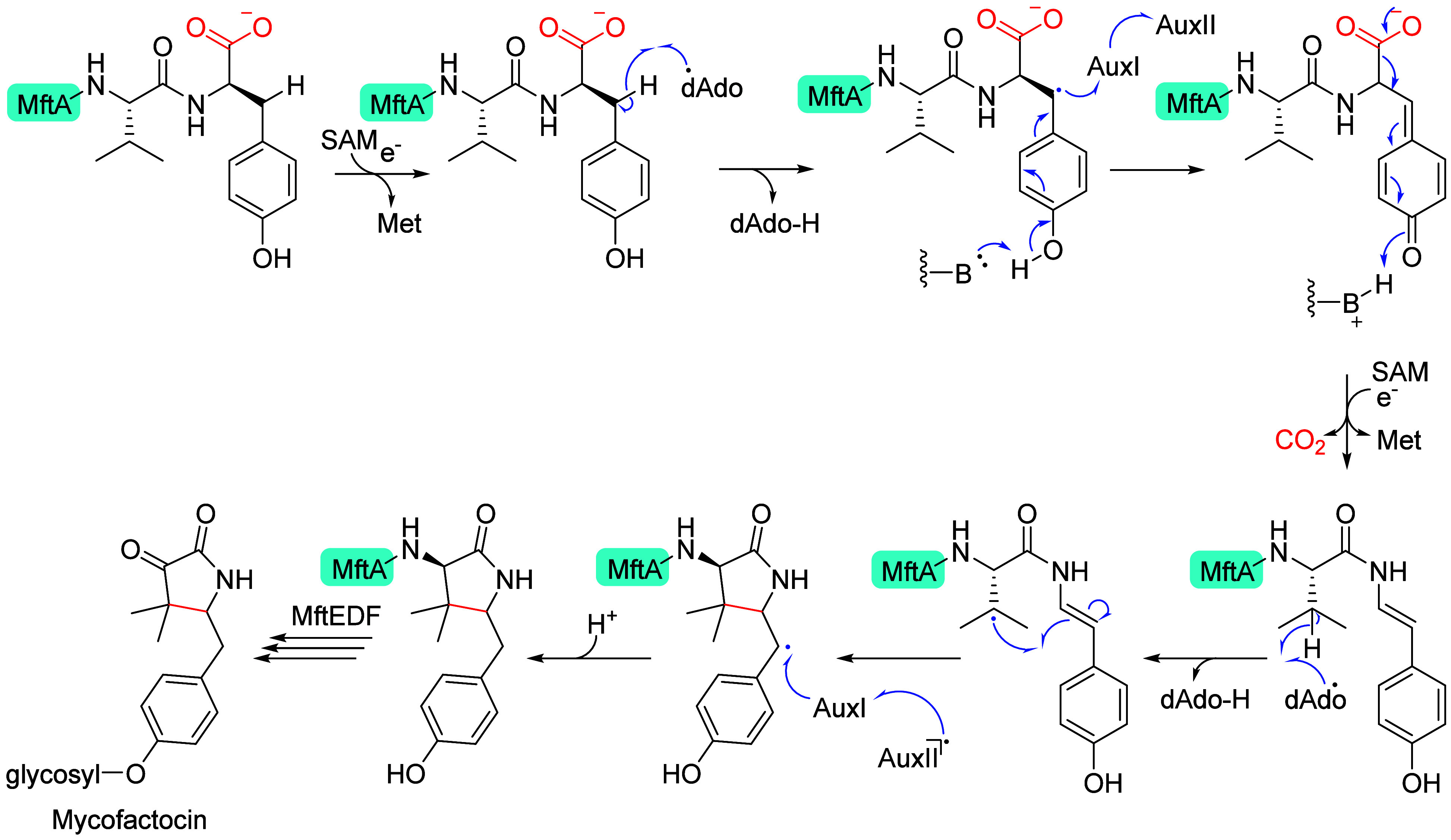 Figure 17