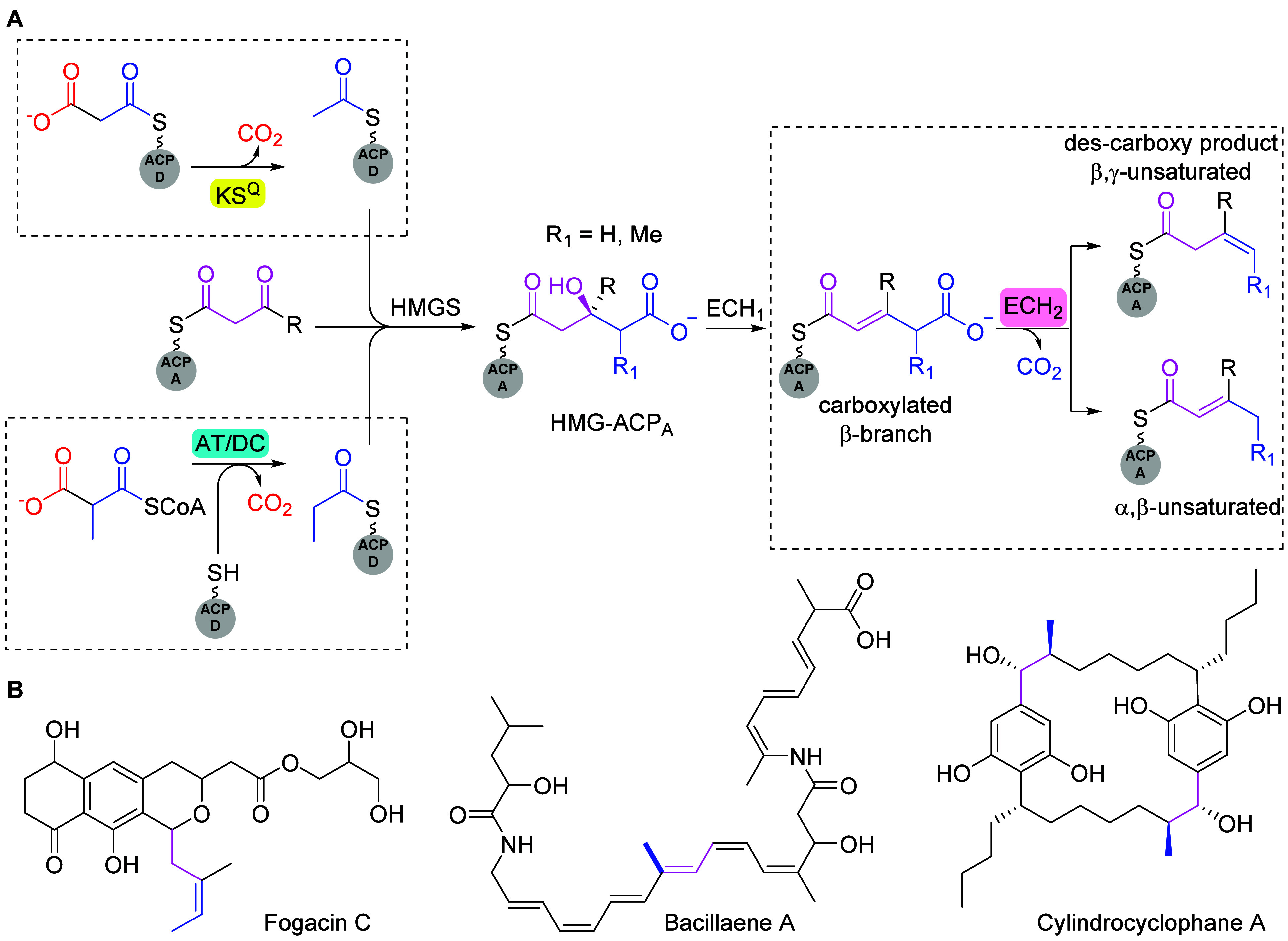 Figure 25