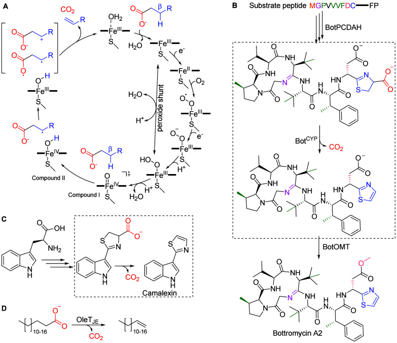 Figure 19