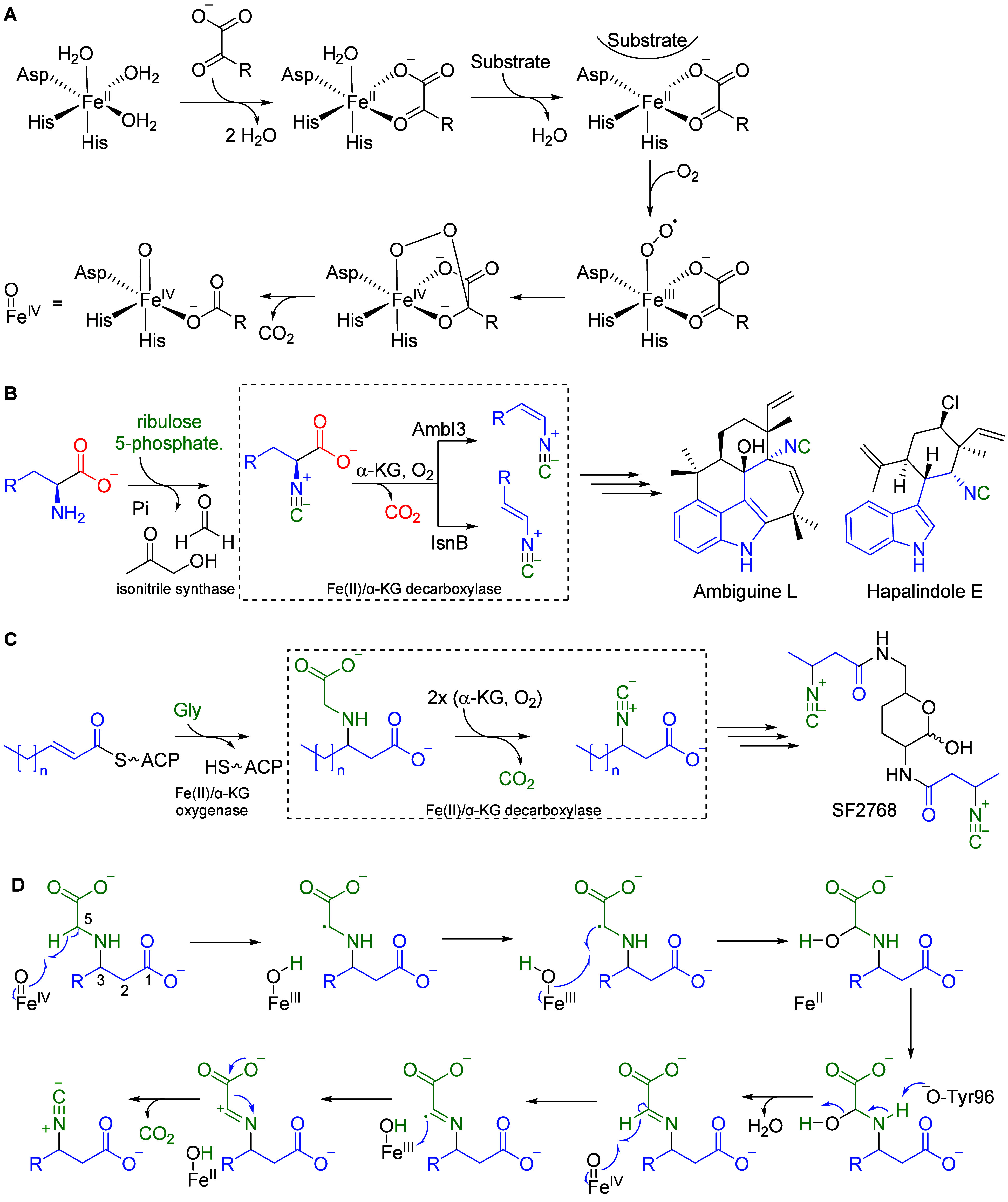 Figure 20