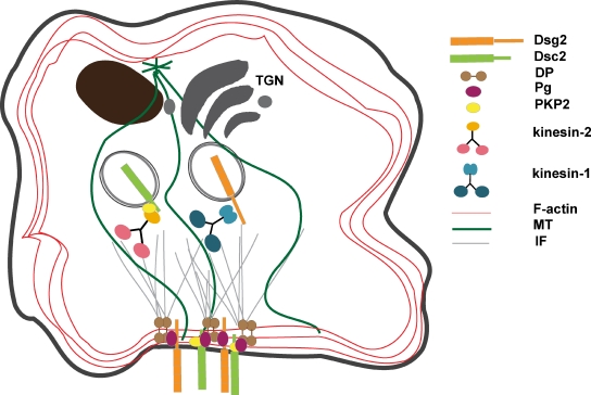 Figure 10.