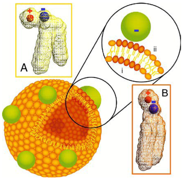 Fig. 3.