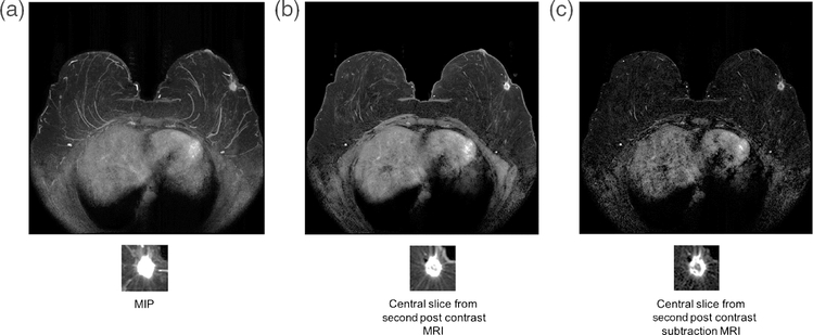 Fig. 10.