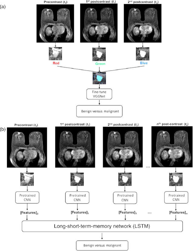 Fig. 12.