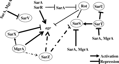 FIG. 1.