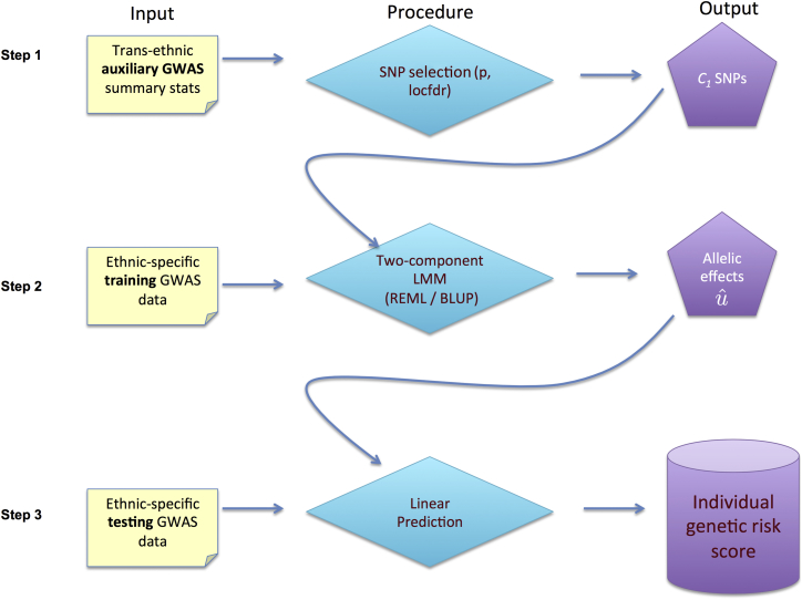 Figure 1