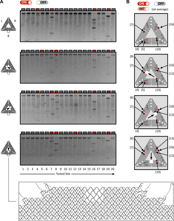 Figure 4.