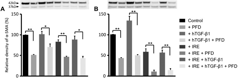 Fig. 9.