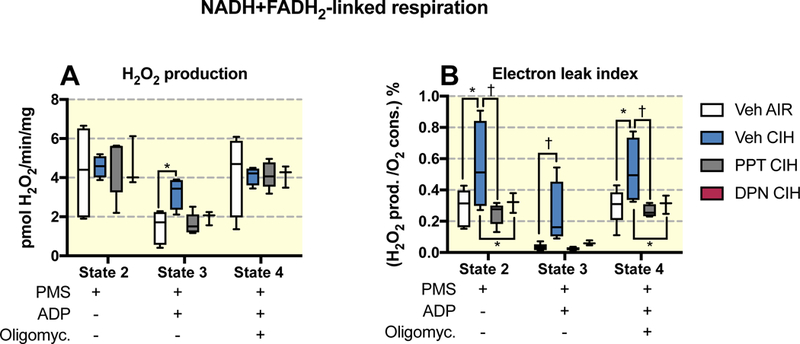 Figure 5: